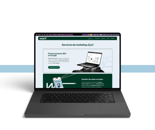 Diseño web en madrid