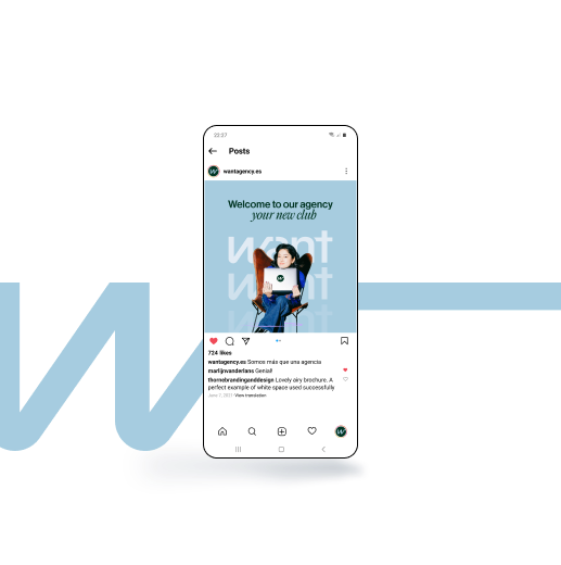 servicio de manejo de redes sociales