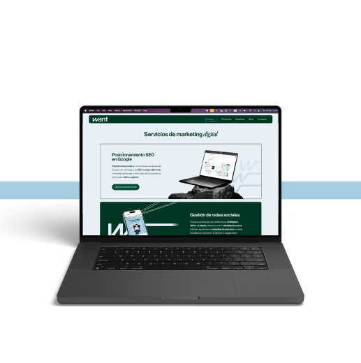 servicio de diseño y desarrollor web